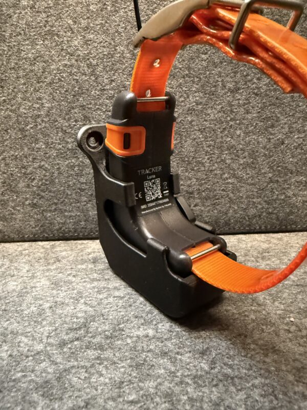 Tracker Luna - Bild 4